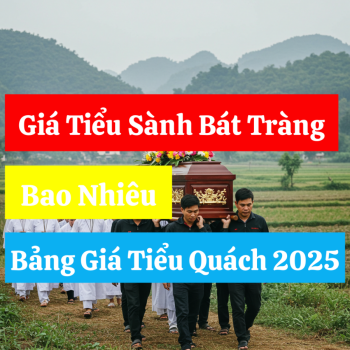 Giá Tiểu Sành Bát Tràng Bao Nhiêu? Bảng Giá Tiểu Quách 2025