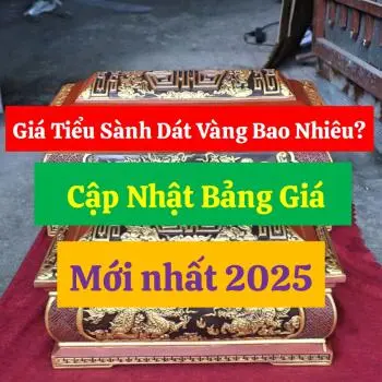 Giá Tiểu Sành Dát Vàng Bao Nhiêu? Cập Nhật Bảng Giá Mới Nhất
