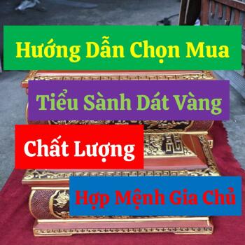 Hướng Dẫn Chọn Mua Tiểu Sành Dát Vàng Chất Lượng, Hợp Mệnh Gia Chủ