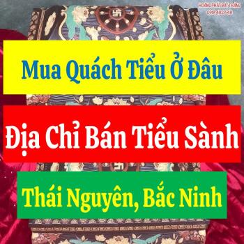 Mua Quách Tiểu Ở Đâu? Địa Chỉ Bán Tiểu Sành Thái Nguyên, Bắc Ninh