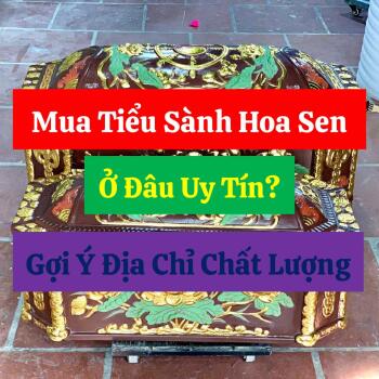 Mua Tiểu Sành Hoa Sen Ở Đâu Uy Tín? Gợi Ý Địa Chỉ Chất Lượng