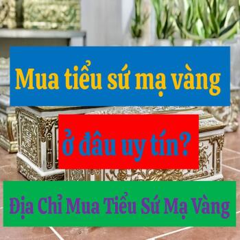 Mua tiểu sứ mạ vàng ở đâu uy tín? Địa Chỉ Mua Tiểu Sứ Mạ Vàng