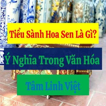Tiểu Sành Hoa Sen Là Gì? Ý Nghĩa Trong Văn Hóa Tâm Linh Việt