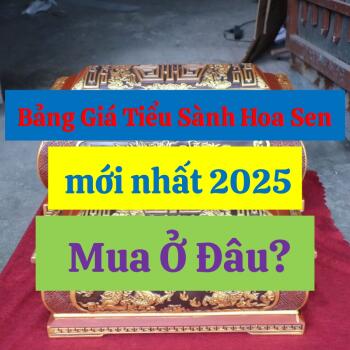 Bảng Giá Tiểu Sành Hoa Sen mới nhất 2025, Mua Ở Đâu?