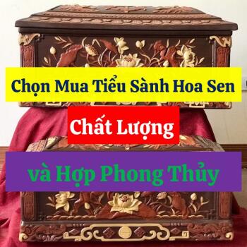 Chọn Mua Tiểu Sành Hoa Sen Chất Lượng và Hợp Phong Thủy