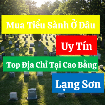 Mua Tiểu Sành Ở Đâu Uy Tín? Top Địa Chỉ Tại Cao Bằng, Lạng Sơn