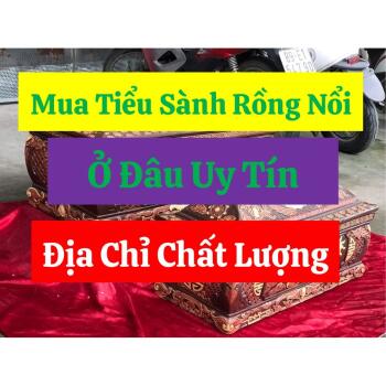 Mua Tiểu Sành Rồng Nổi Ở Đâu Uy Tín, Địa Chỉ Chất Lượng
