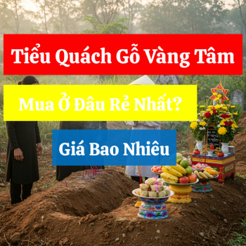 Tiểu Quách Gỗ Vàng Tâm Giá Bao Nhiêu, Mua Ở Đâu Rẻ Nhất?