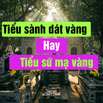 Tiểu sành dát vàng và tiểu sứ mạ vàng, chọn loại nào?