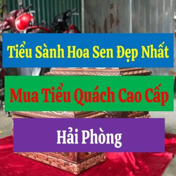 Tiểu Sành Hoa Sen Đẹp Nhất, Mua Tiểu Quách Cao Cấp Ở Hải Phòng