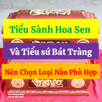 Tiểu Sành Hoa Sen Và Tiểu Sứ, Nên Chọn Loại Nào Phù Hợp