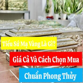 Tiểu Sứ Mạ Vàng Là Gì? Giá Cả Và Cách Chọn Mua Chuẩn Phong Thủy