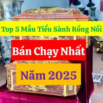 Top 5 Mẫu Tiểu Sành Rồng Nổi Bán Chạy Nhất Năm 2025
