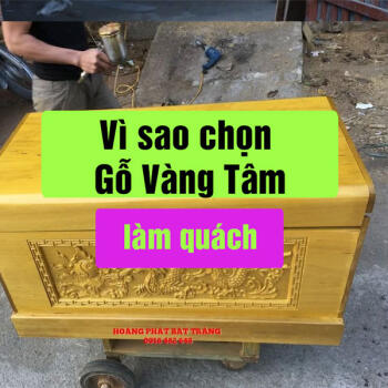 Vì sao lựa chọn gỗ vàng tâm làm tiểu quách