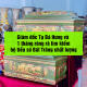 tim-kiem-bo-quach-tieu-sang-cat-cho-ong-noi