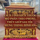 Cach-tinh-kich-thuoc-mo-phan-theo-phong-thuy-giup-gia-toc-hung-thinh-binh-an
