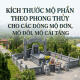 kich-thuoc-mo-phan-theo-phong-thuy-cho-cac-dong-mo-don-mo-doi-mo-cai-tang