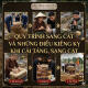 quy-trinh-sang-cat-va-nhung-dieu-kieng-ky-khi-cai-tang-sang-cat-1