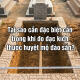 tai-sao-can-dac-biet-can-trong-khi-do-dac-kich-thuoc-huyet-mo-dao-san