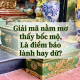 giai-ma-nam-mo-thay-boc-mo-la-diem-bao-lanh-hay-du
