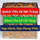 Quách-tieu-su-Bat-Trang-danh-cho-le-cai-tang-hop-menh-hop-phong-thuy