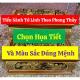tieu-sanh-tu-linh-theo-phong-thuy-chon-hoa-tiet-va-mau-sac-dung-menh
