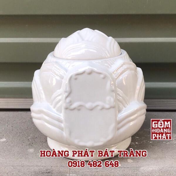 hu-tro-bup-sen-mau-trang