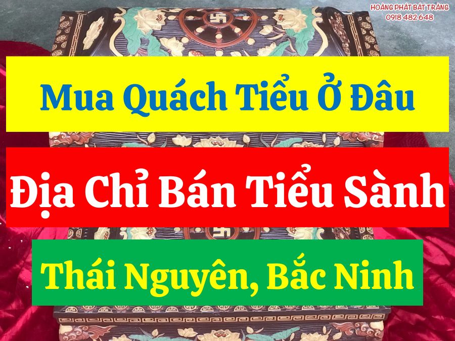 Mua-quach-tieu-o-dau-dia-chi-ban-tieu-sanh-Thai-Nguyen-Bac-Ninh