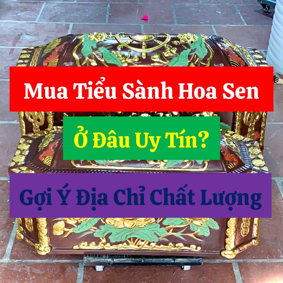 Mua-tieu-sanh-hoa-sen-o-dau-uy-tin-goi-y-dia-chi-chat-luong