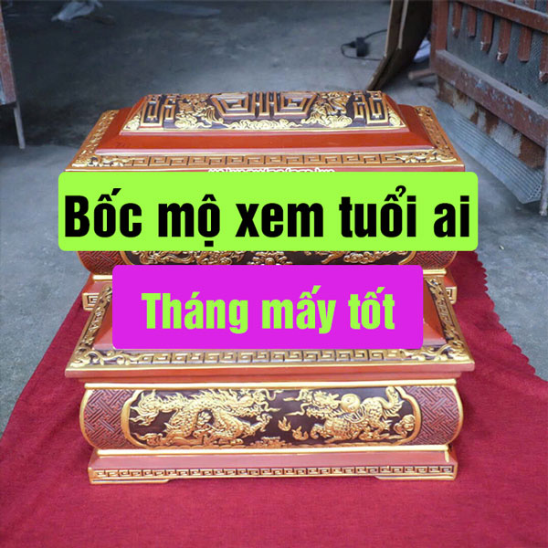 boc-mo-xem-tuoi-ai-202445