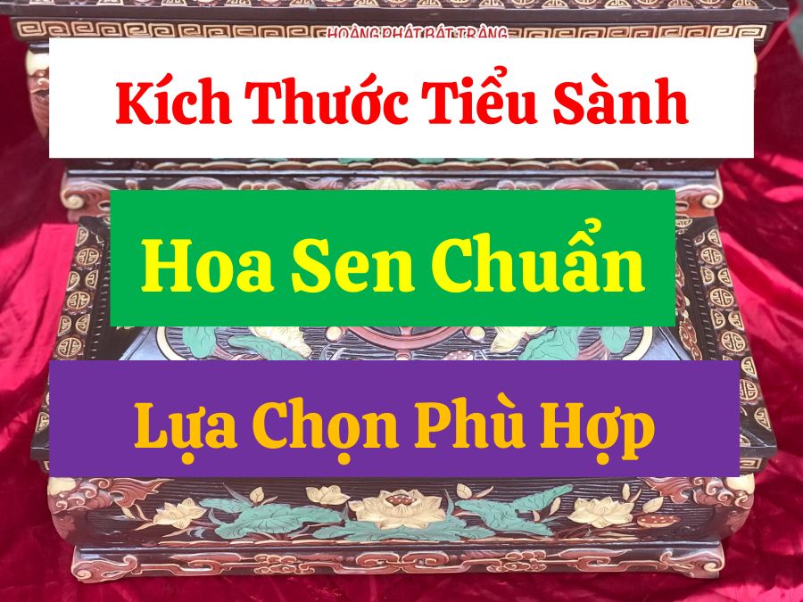 kich-thuoc-tieu-sanh-hoa-sen-chuan-lua-chon-phu-hop