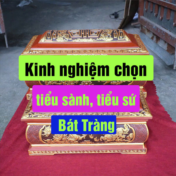 kinh-nghiem-mua-tieu-sanh-tieu-su-bat-trang