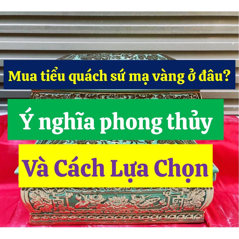mua-tieu-quach-su-ma-vang-o-dau-y-nghia-phong-thuy-va-cach-lua-chon