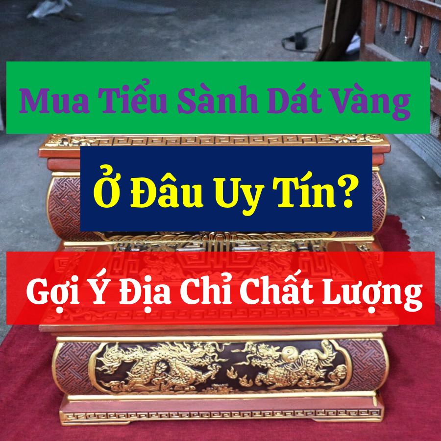 mua-tieu-sanh-dat-vang-o-dau-uy-tin-goi-y-dia-chi-chat-luong