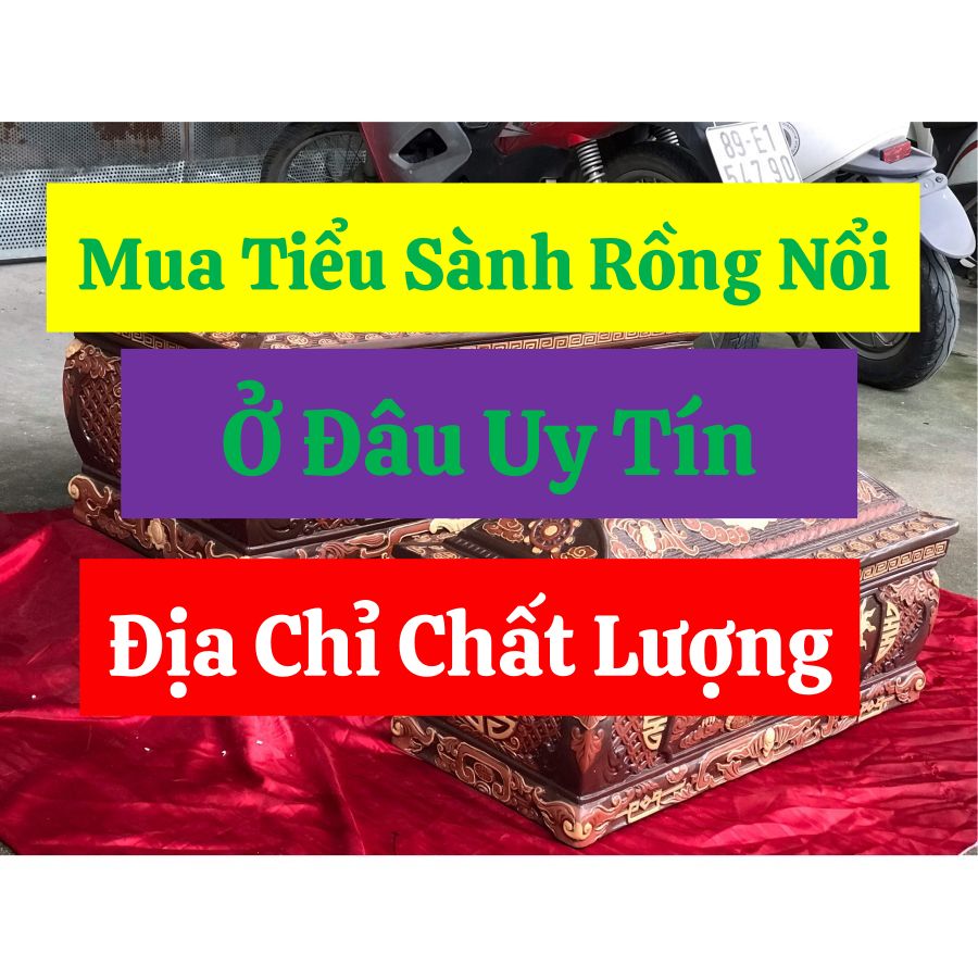 mua-tieu-sanh-rong-noi-o-dau-uy-tin-đia-chi-chat-luong