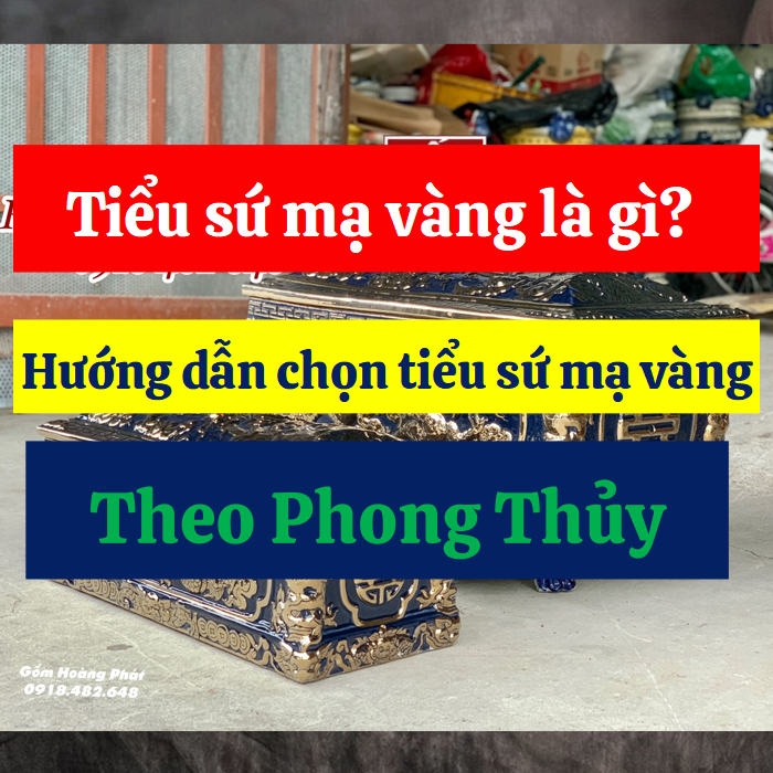 tieu-su-ma-vang-la-gi-huong-dan-chon-tieu-su-ma-vang-theo-phong-thuy