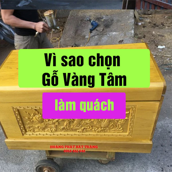 vi-sao-chon-go-vang-tam-lam-tieu-quach
