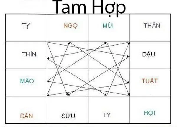 Xem tuổi bốc mộ theo tam hợp